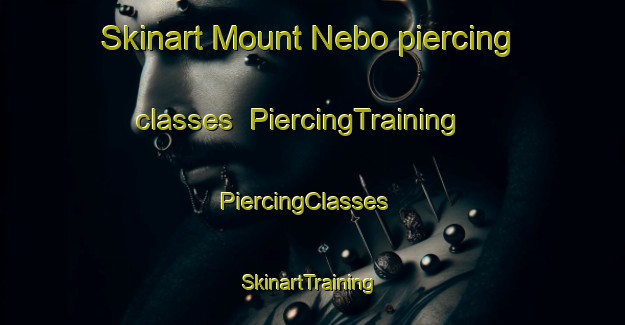 Skinart Mount Nebo piercing classes | PiercingTraining | PiercingClasses | SkinartTraining-Australia
