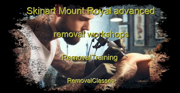 Skinart Mount Royal advanced removal workshops | RemovalTraining | RemovalClasses | SkinartTraining-Australia