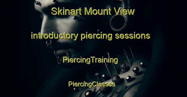 Skinart Mount View introductory piercing sessions | PiercingTraining | PiercingClasses | SkinartTraining-Australia