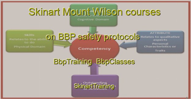 Skinart Mount Wilson courses on BBP safety protocols | BbpTraining | BbpClasses | SkinartTraining-Australia