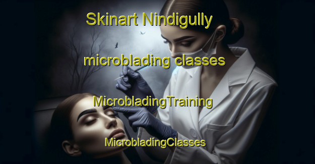 Skinart Nindigully microblading classes | MicrobladingTraining | MicrobladingClasses | SkinartTraining-Australia