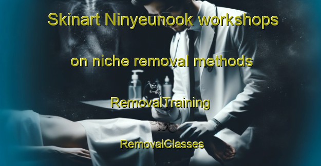 Skinart Ninyeunook workshops on niche removal methods | RemovalTraining | RemovalClasses | SkinartTraining-Australia