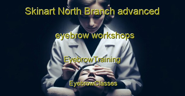 Skinart North Branch advanced eyebrow workshops | EyebrowTraining | EyebrowClasses | SkinartTraining-Australia