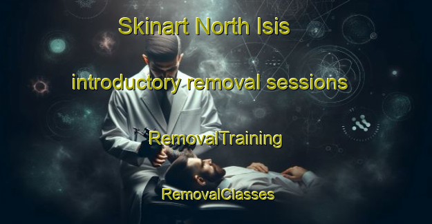 Skinart North Isis introductory removal sessions | RemovalTraining | RemovalClasses | SkinartTraining-Australia