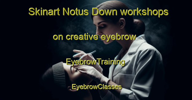 Skinart Notus Down workshops on creative eyebrow | EyebrowTraining | EyebrowClasses | SkinartTraining-Australia