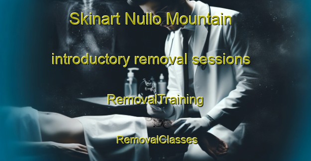 Skinart Nullo Mountain introductory removal sessions | RemovalTraining | RemovalClasses | SkinartTraining-Australia