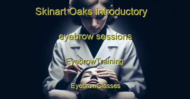 Skinart Oaks introductory eyebrow sessions | EyebrowTraining | EyebrowClasses | SkinartTraining-Australia