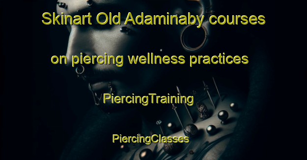 Skinart Old Adaminaby courses on piercing wellness practices | PiercingTraining | PiercingClasses | SkinartTraining-Australia
