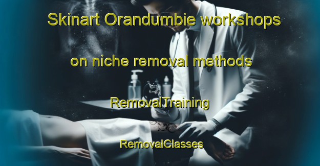 Skinart Orandumbie workshops on niche removal methods | RemovalTraining | RemovalClasses | SkinartTraining-Australia