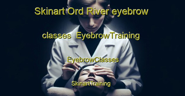 Skinart Ord River eyebrow classes | EyebrowTraining | EyebrowClasses | SkinartTraining-Australia