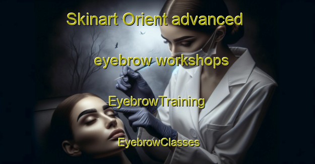 Skinart Orient advanced eyebrow workshops | EyebrowTraining | EyebrowClasses | SkinartTraining-Australia