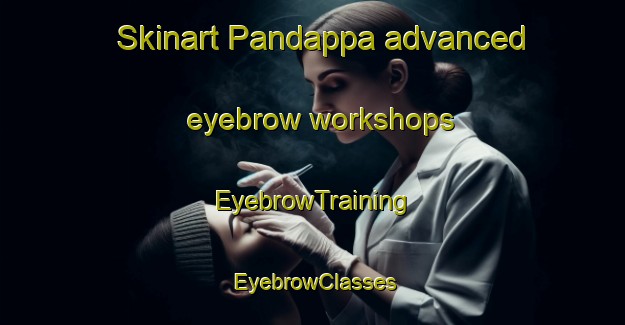 Skinart Pandappa advanced eyebrow workshops | EyebrowTraining | EyebrowClasses | SkinartTraining-Australia
