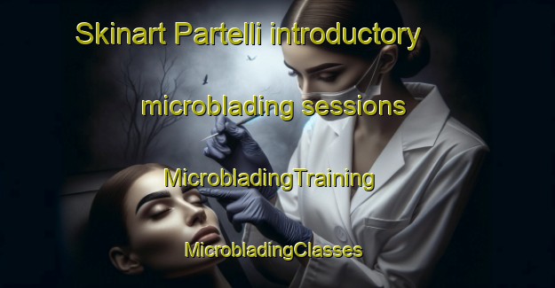 Skinart Partelli introductory microblading sessions | MicrobladingTraining | MicrobladingClasses | SkinartTraining-Australia