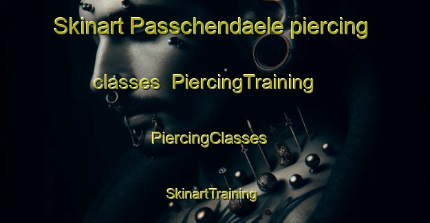 Skinart Passchendaele piercing classes | PiercingTraining | PiercingClasses | SkinartTraining-Australia