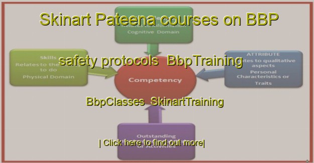 Skinart Pateena courses on BBP safety protocols | BbpTraining | BbpClasses | SkinartTraining-Australia