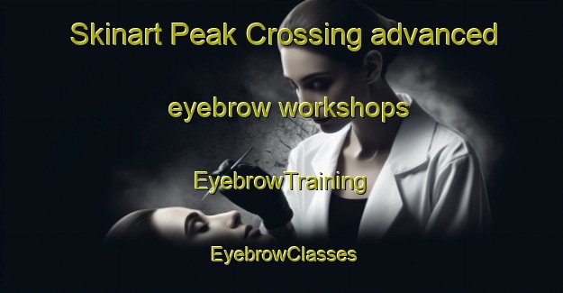 Skinart Peak Crossing advanced eyebrow workshops | EyebrowTraining | EyebrowClasses | SkinartTraining-Australia