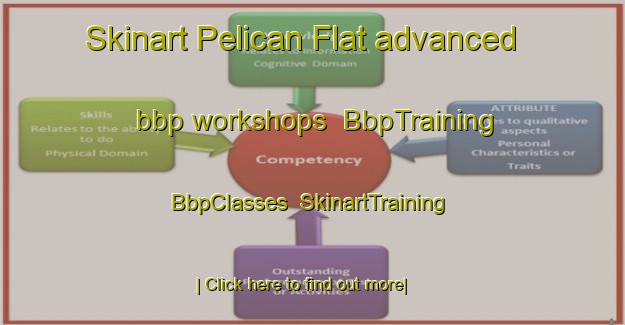 Skinart Pelican Flat advanced bbp workshops | BbpTraining | BbpClasses | SkinartTraining-Australia
