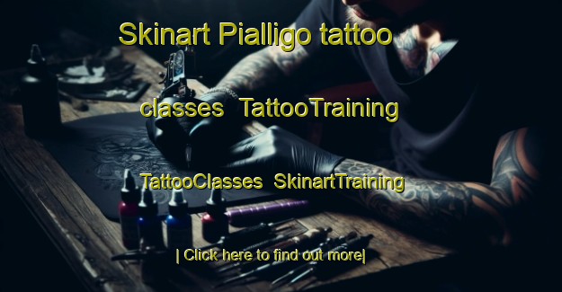 Skinart Pialligo tattoo classes | TattooTraining | TattooClasses | SkinartTraining-Australia