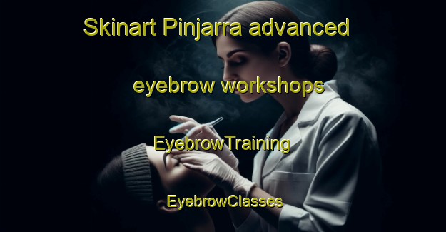 Skinart Pinjarra advanced eyebrow workshops | EyebrowTraining | EyebrowClasses | SkinartTraining-Australia