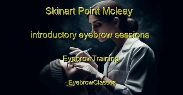 Skinart Point Mcleay introductory eyebrow sessions | EyebrowTraining | EyebrowClasses | SkinartTraining-Australia