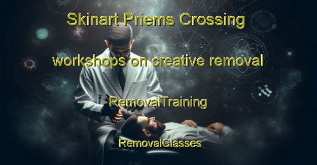 Skinart Priems Crossing workshops on creative removal | RemovalTraining | RemovalClasses | SkinartTraining-Australia