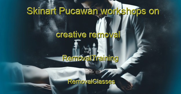 Skinart Pucawan workshops on creative removal | RemovalTraining | RemovalClasses | SkinartTraining-Australia