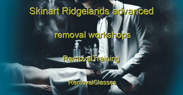 Skinart Ridgelands advanced removal workshops | RemovalTraining | RemovalClasses | SkinartTraining-Australia