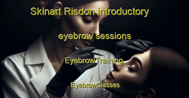 Skinart Risdon introductory eyebrow sessions | EyebrowTraining | EyebrowClasses | SkinartTraining-Australia