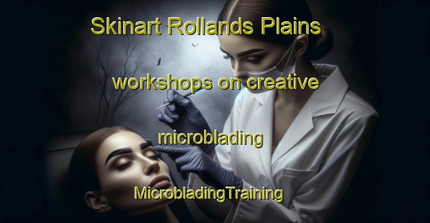 Skinart Rollands Plains workshops on creative microblading | MicrobladingTraining | MicrobladingClasses | SkinartTraining-Australia