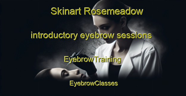 Skinart Rosemeadow introductory eyebrow sessions | EyebrowTraining | EyebrowClasses | SkinartTraining-Australia