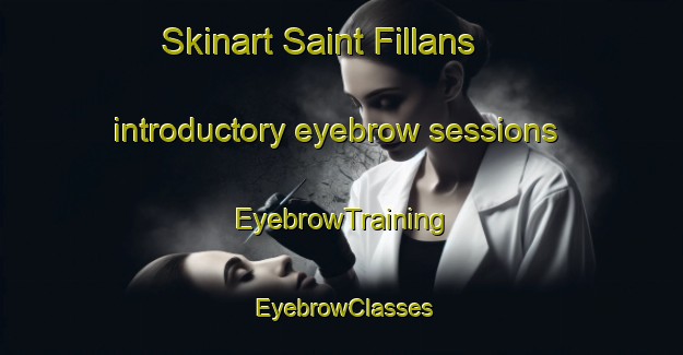 Skinart Saint Fillans introductory eyebrow sessions | EyebrowTraining | EyebrowClasses | SkinartTraining-Australia