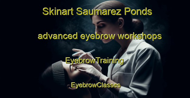 Skinart Saumarez Ponds advanced eyebrow workshops | EyebrowTraining | EyebrowClasses | SkinartTraining-Australia