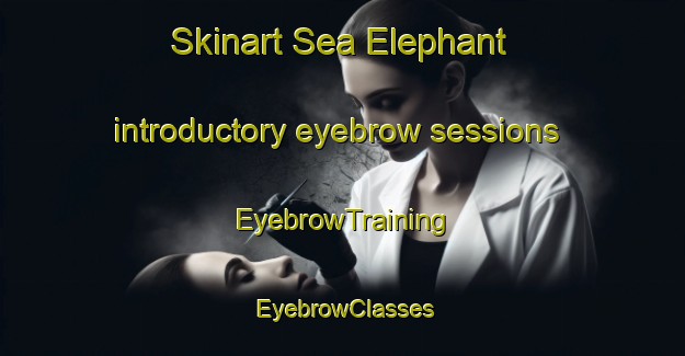 Skinart Sea Elephant introductory eyebrow sessions | EyebrowTraining | EyebrowClasses | SkinartTraining-Australia
