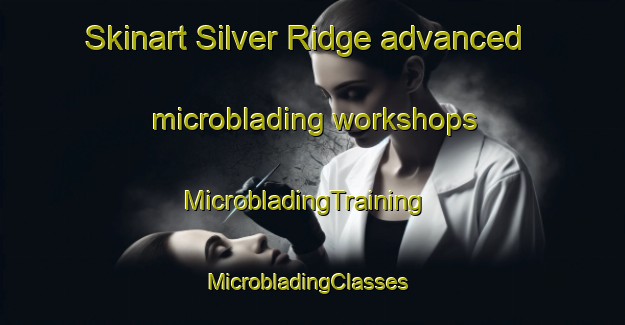 Skinart Silver Ridge advanced microblading workshops | MicrobladingTraining | MicrobladingClasses | SkinartTraining-Australia