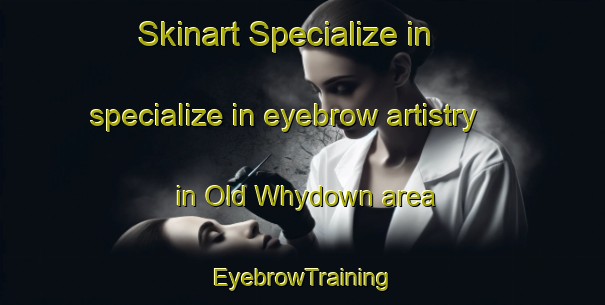 Skinart Specialize in specialize in eyebrow artistry in Old Whydown area | EyebrowTraining | EyebrowClasses | SkinartTraining-Australia