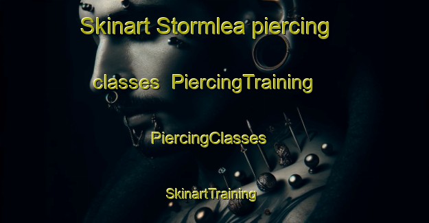 Skinart Stormlea piercing classes | PiercingTraining | PiercingClasses | SkinartTraining-Australia