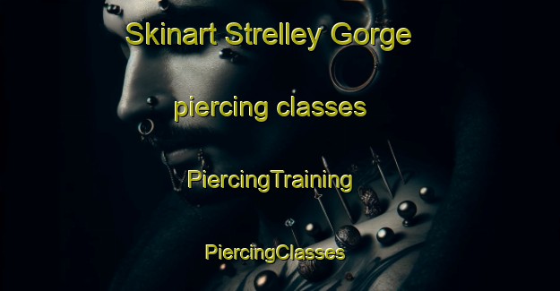 Skinart Strelley Gorge piercing classes | PiercingTraining | PiercingClasses | SkinartTraining-Australia