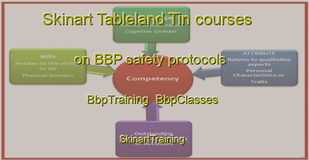 Skinart Tableland Tin courses on BBP safety protocols | BbpTraining | BbpClasses | SkinartTraining-Australia