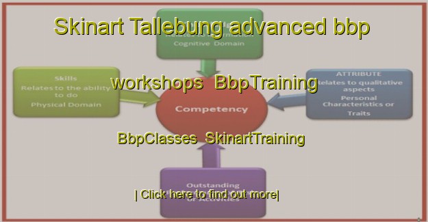 Skinart Tallebung advanced bbp workshops | BbpTraining | BbpClasses | SkinartTraining-Australia