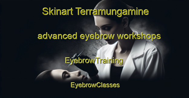Skinart Terramungamine advanced eyebrow workshops | EyebrowTraining | EyebrowClasses | SkinartTraining-Australia