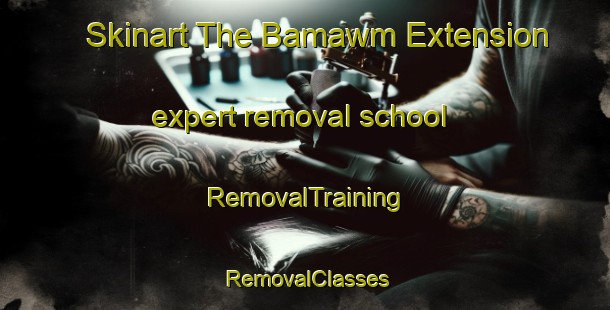 Skinart The Bamawm Extension expert removal school | RemovalTraining | RemovalClasses | SkinartTraining-Australia