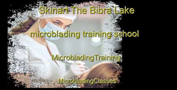 Skinart The Bibra Lake microblading training school | MicrobladingTraining | MicrobladingClasses | SkinartTraining-Australia