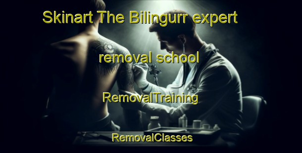 Skinart The Bilingurr expert removal school | RemovalTraining | RemovalClasses | SkinartTraining-Australia