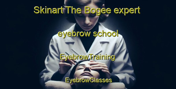 Skinart The Bogee expert eyebrow school | EyebrowTraining | EyebrowClasses | SkinartTraining-Australia
