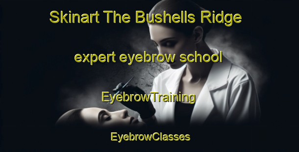 Skinart The Bushells Ridge expert eyebrow school | EyebrowTraining | EyebrowClasses | SkinartTraining-Australia