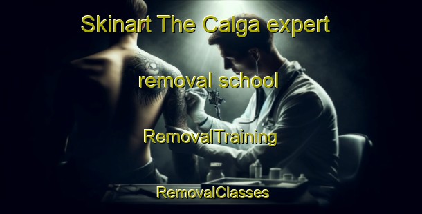 Skinart The Calga expert removal school | RemovalTraining | RemovalClasses | SkinartTraining-Australia