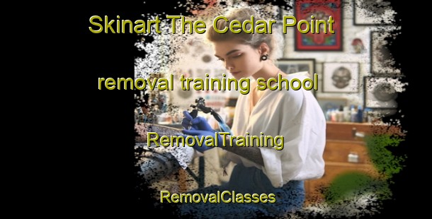 Skinart The Cedar Point removal training school | RemovalTraining | RemovalClasses | SkinartTraining-Australia