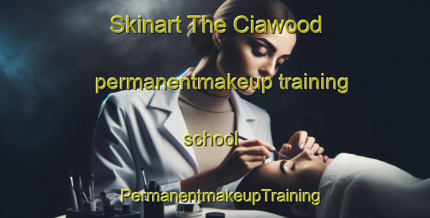Skinart The Ciawood permanentmakeup training school | PermanentmakeupTraining | PermanentmakeupClasses | SkinartTraining-Australia