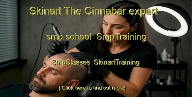 Skinart The Cinnabar expert smp school | SmpTraining | SmpClasses | SkinartTraining-Australia