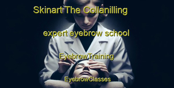 Skinart The Collanilling expert eyebrow school | EyebrowTraining | EyebrowClasses | SkinartTraining-Australia